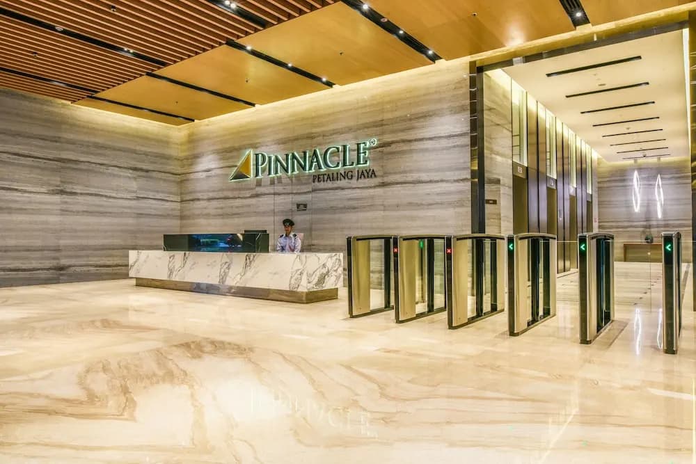 Daily Pinnacle - photo 16
