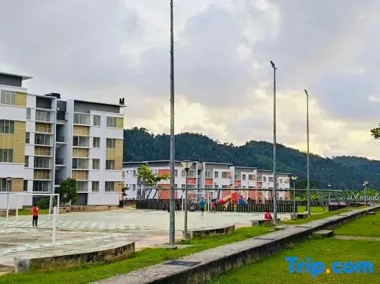 Serene Homestay - photo 4