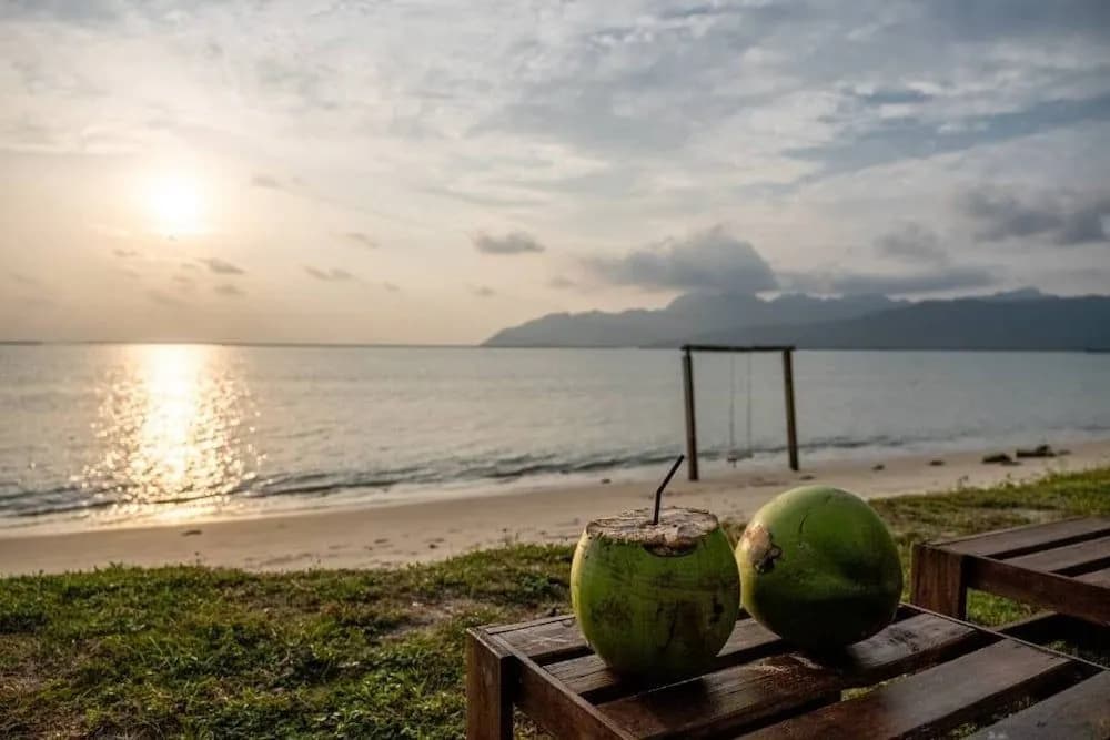 Coconut Beach Villa Langkawi - photo 15