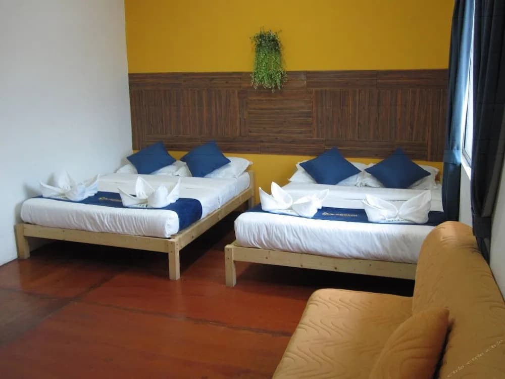 MY Rainforest Homestay - photo 4
