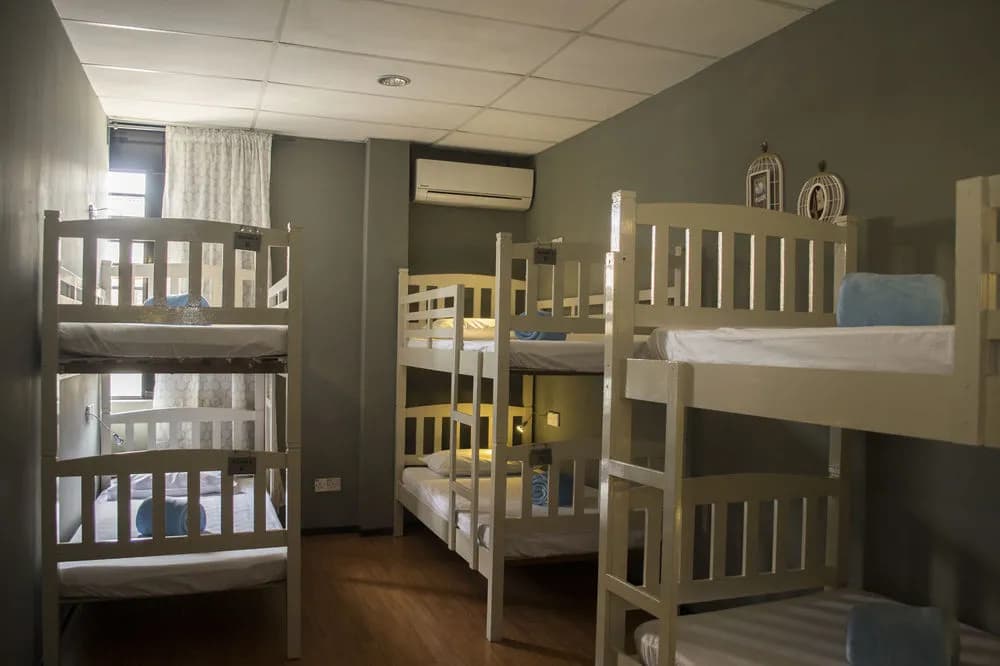 B&B21 - Hostel - photo 5