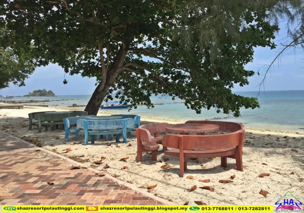 SHAZ Resort Pulau Tinggi - photo 9