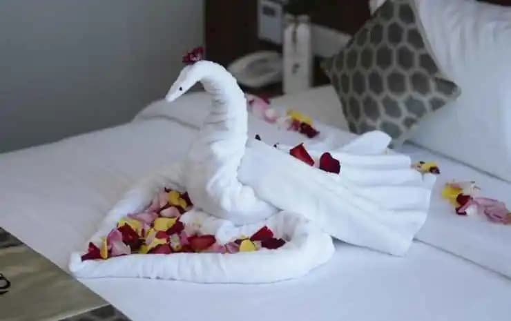 Rest and Comfort Boutique Hotel (RAC) - photo 10