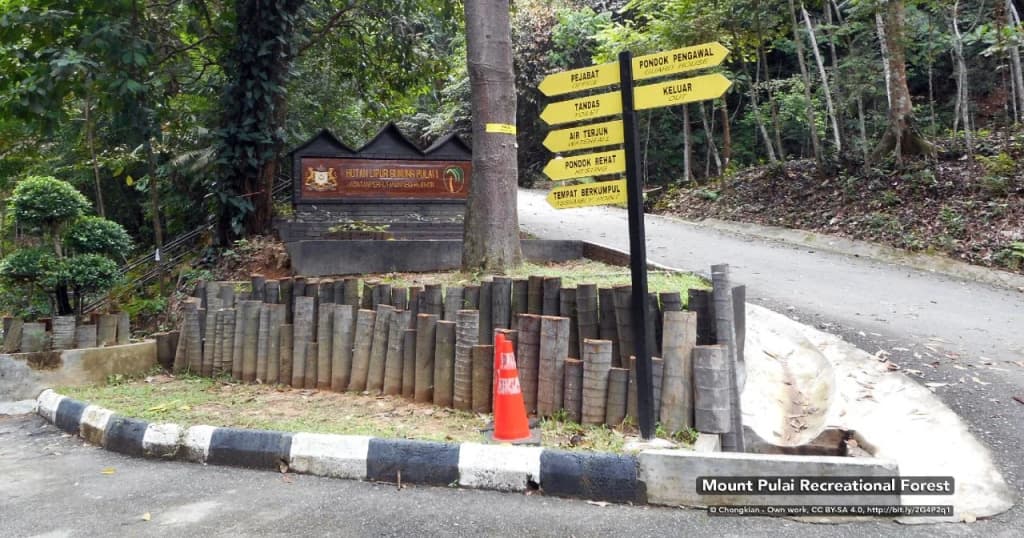 LSH Hotel - photo 2