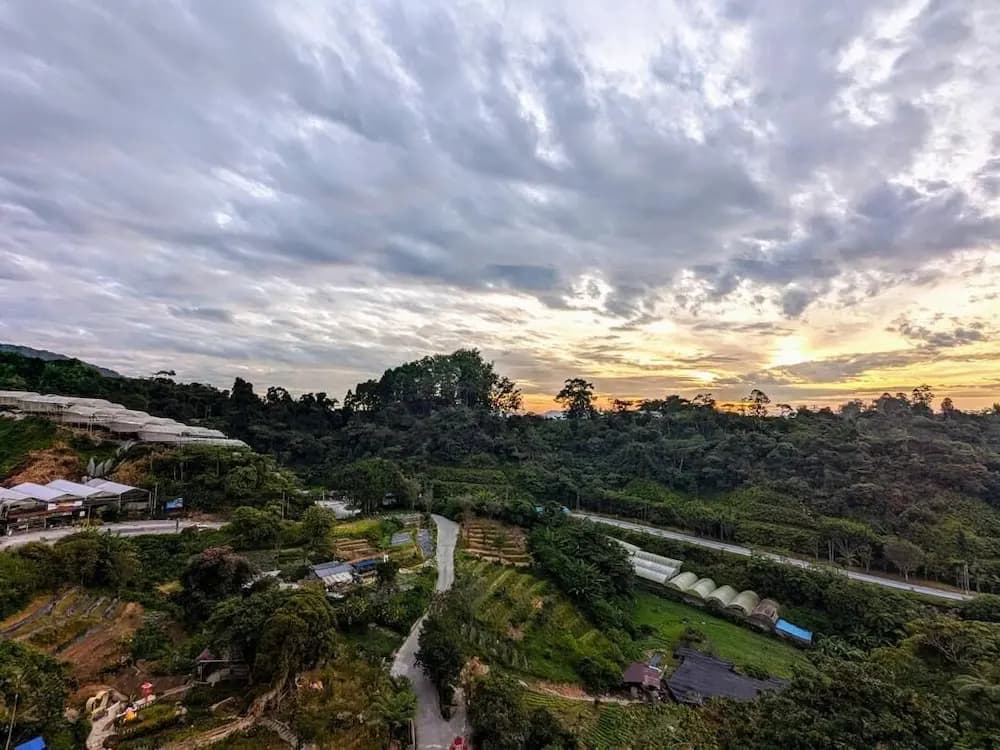 The Retreat Hotel at Cameron highlands - photo 29