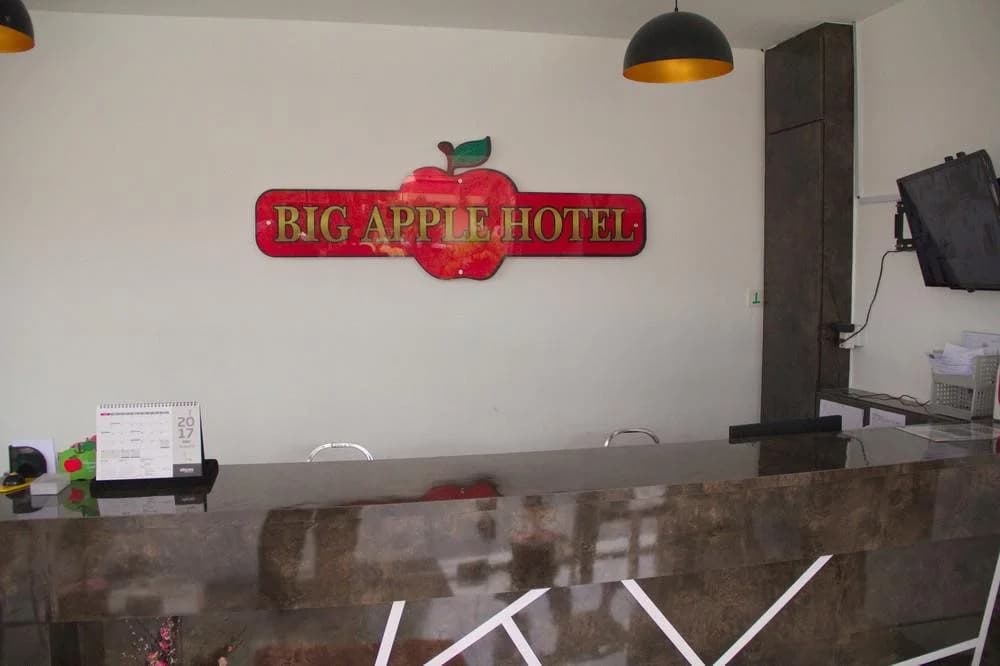 Big Apple Hotel - photo 10