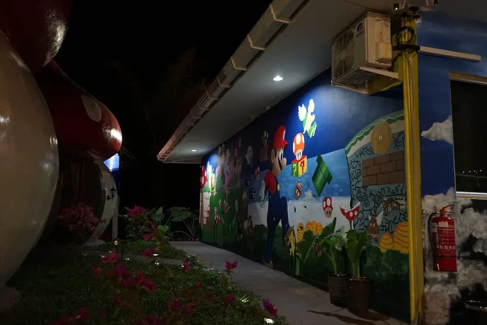 Mushrooms Inn - photo 14