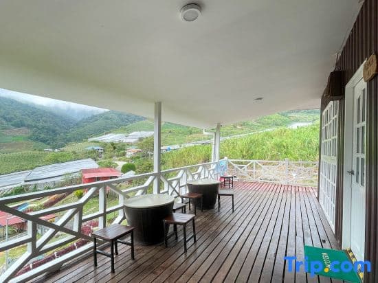 Alpaca Club Homestay - photo 1