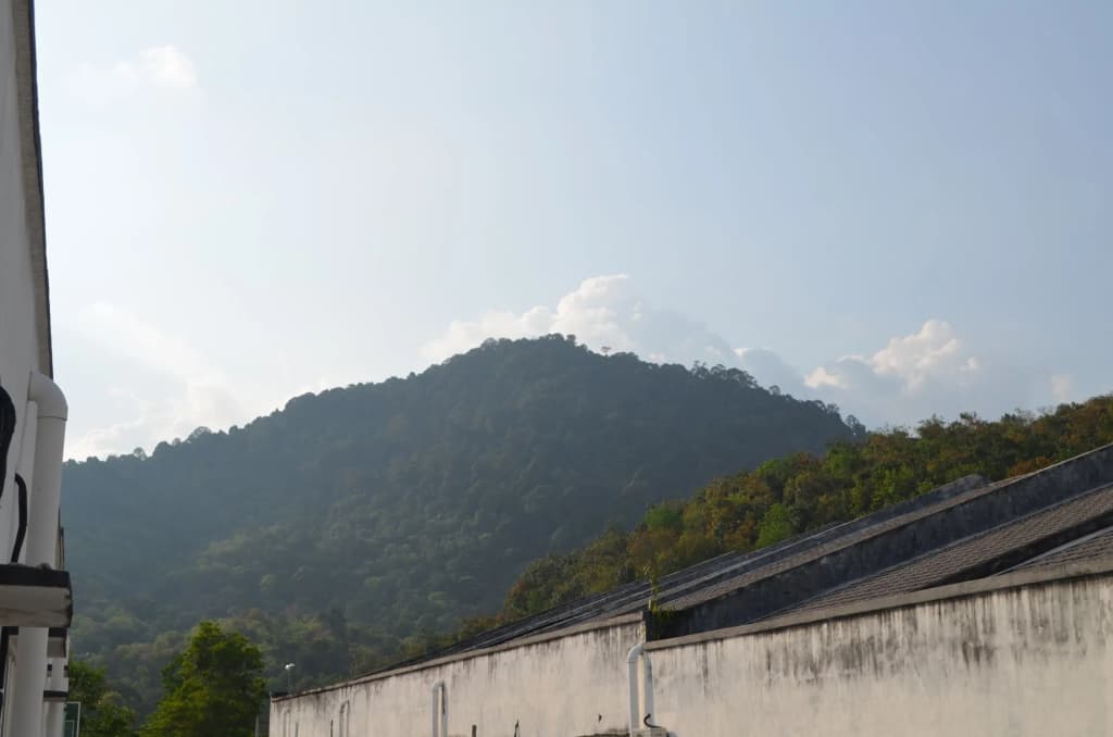 M Motel Meru - photo 15