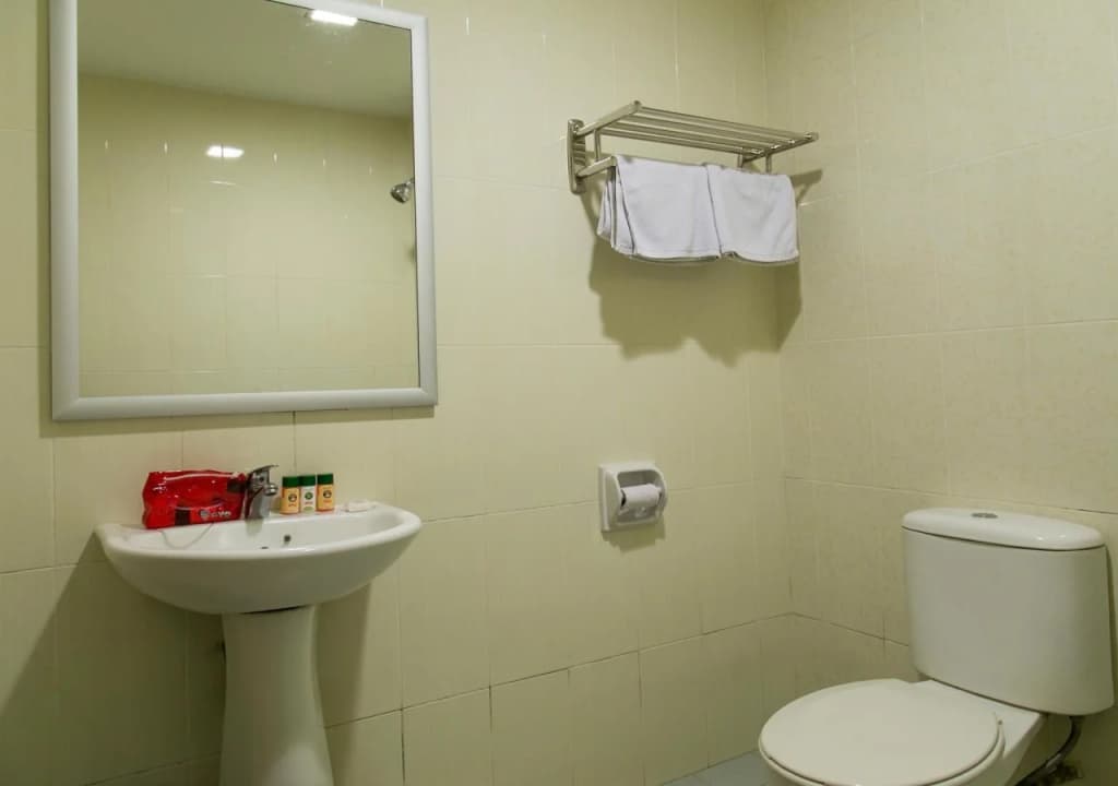 Hotel Star Town Inn - photo 7