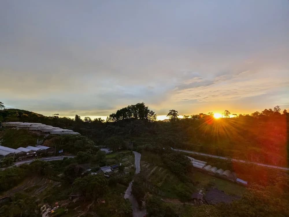 The Retreat Hotel at Cameron highlands - photo 30