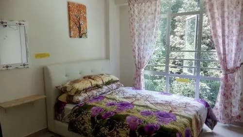 Muslim Homestay Cameron Highlands - photo 3
