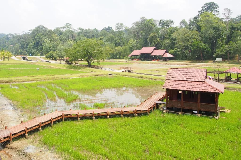 Karisma Homestay - photo 6