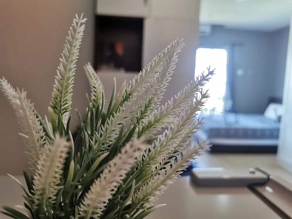 Kampar Champs Elysees 4pax Homestay - photo 15