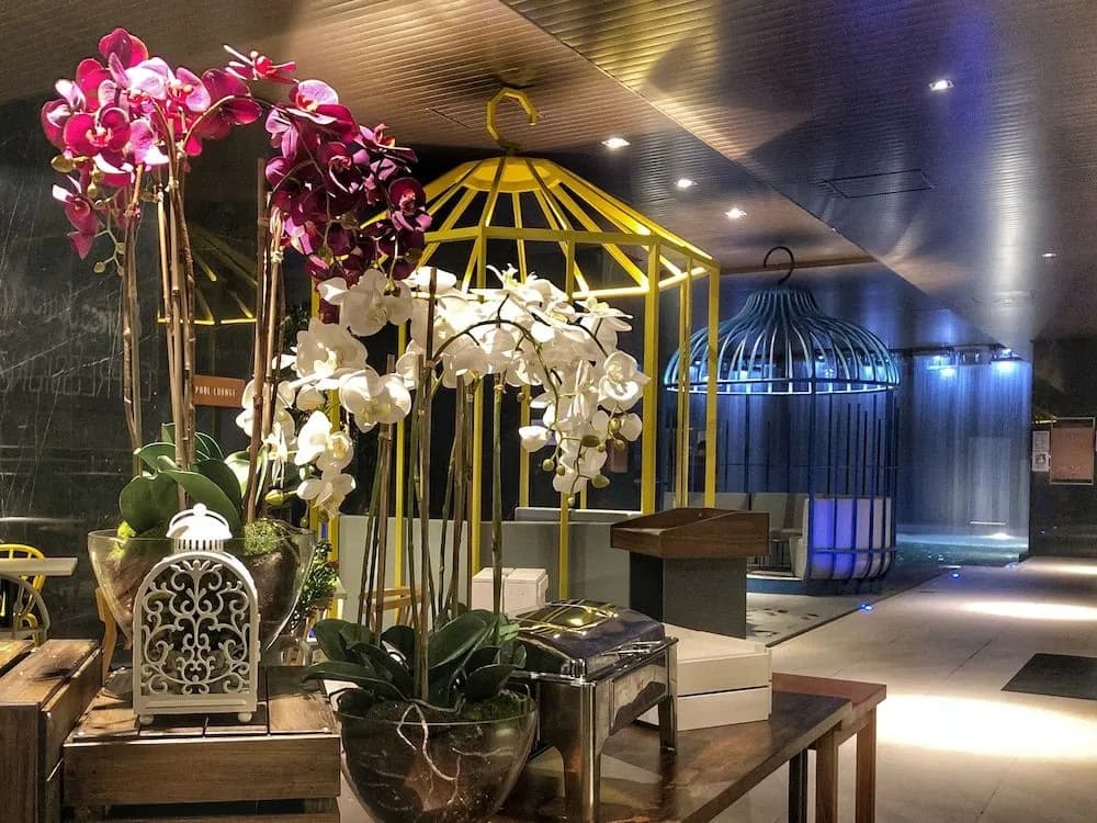 Expressionz Professional Suites by Luxurious Lifestyle Living - photo 2