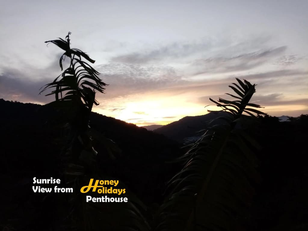 Honey Holiday Penthouse - photo 9