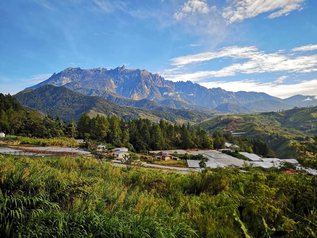 Blue Mountain Lodge Kundasang - photo 9