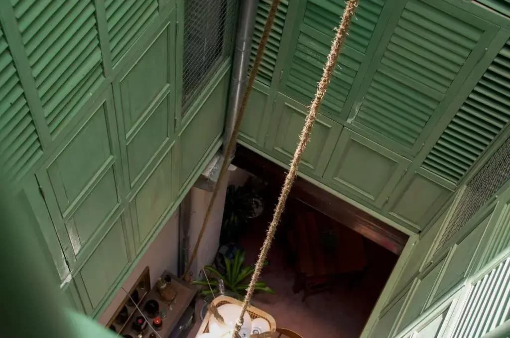 Ren i Tang - photo 10