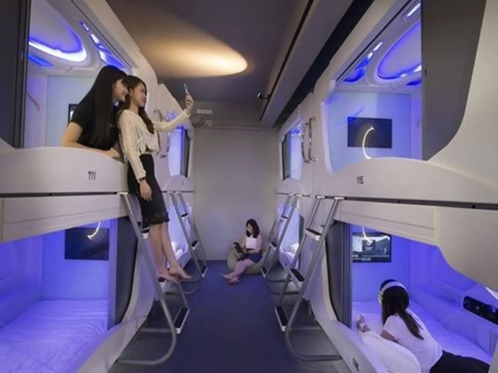 Lavish Capsule - photo 18