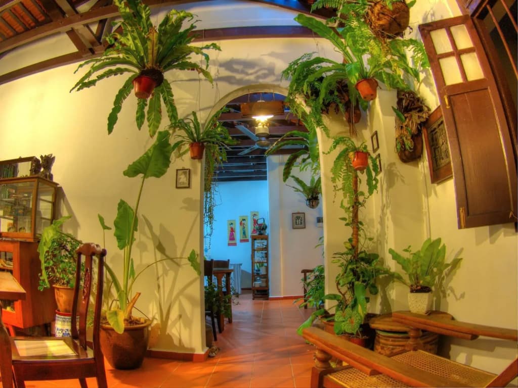 Cyclamen Cottage - photo 11