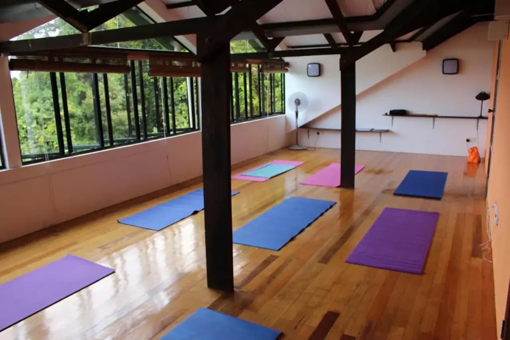 Nanga Damai Homestay - photo 8