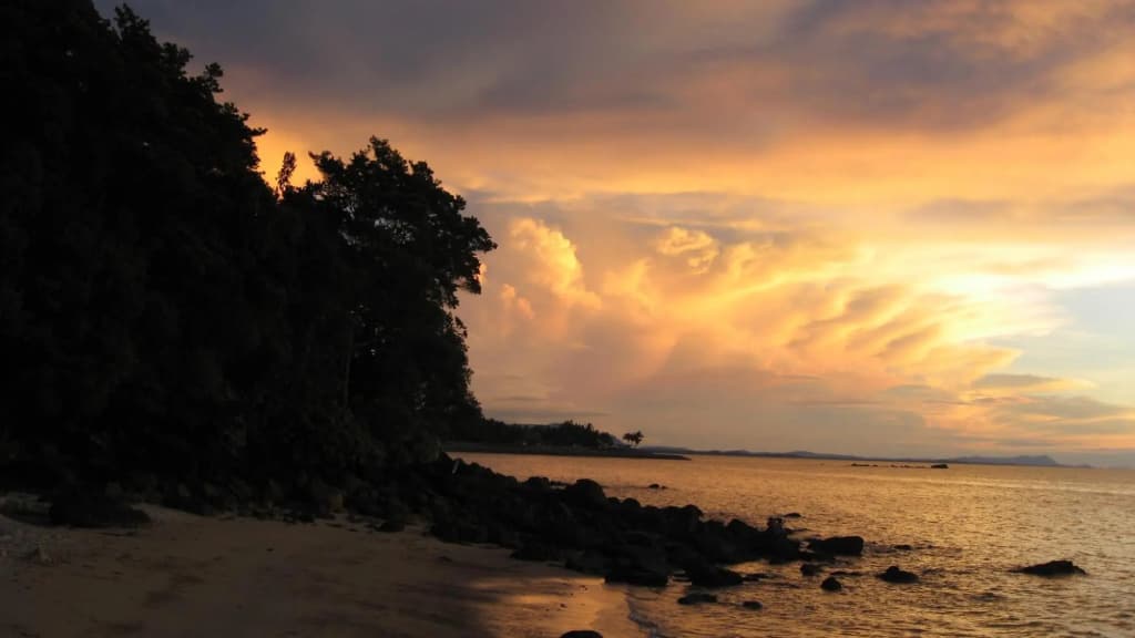 Permai Rainforest Resort - photo 17