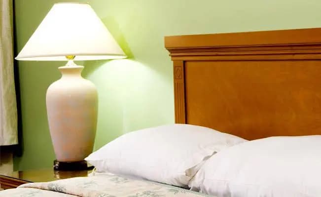 Ibiz Hotel - photo 6