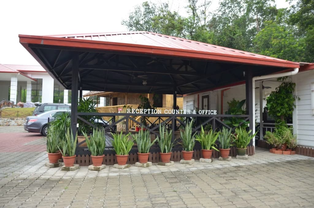 Borneo Tree House - photo 14