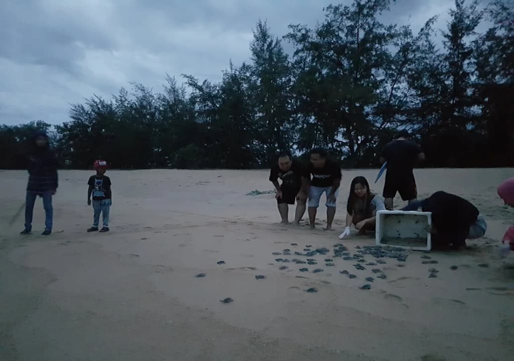Pandan Laut Beach Resort - photo 21