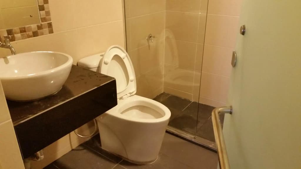 Sri Iskandar Hotel - photo 8