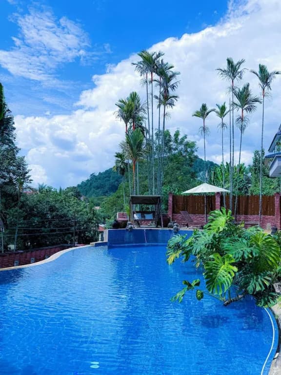Serene Palm Heritage Tropical Villa - photo 16