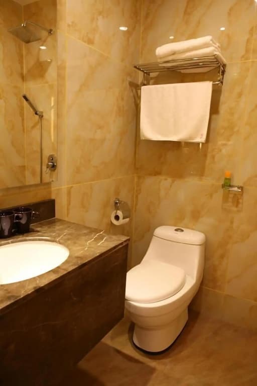 Golden Valley Hotel - photo 10