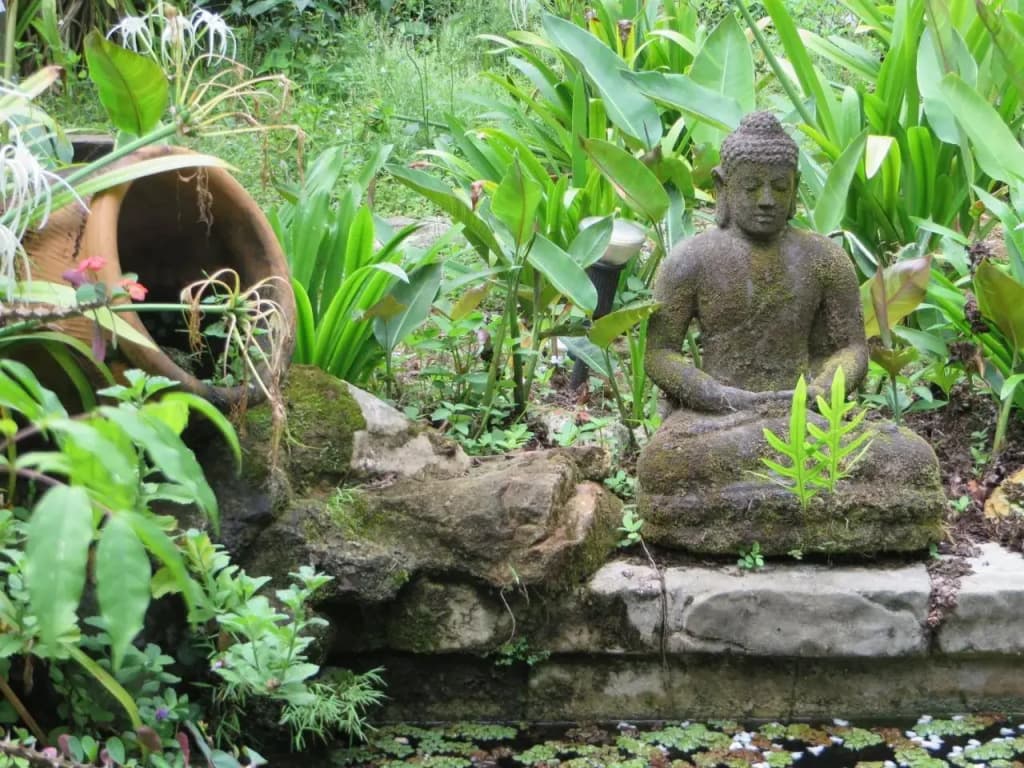 Nanga Damai Homestay - photo 10