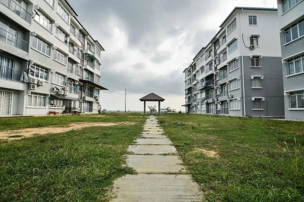DaHong Island Apartment - photo 12