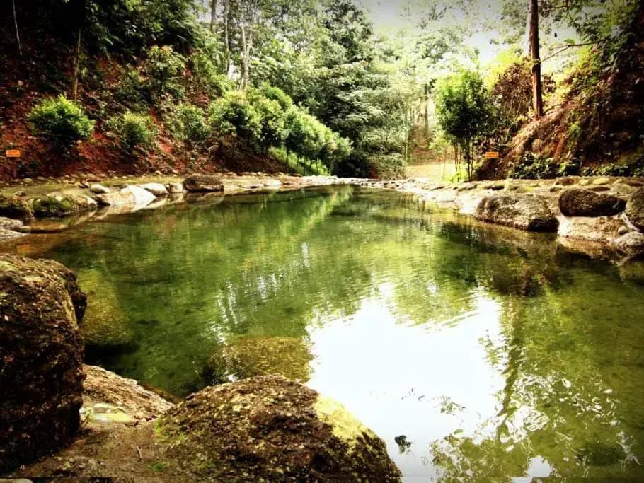 Refreshing Springs Resort - photo 2
