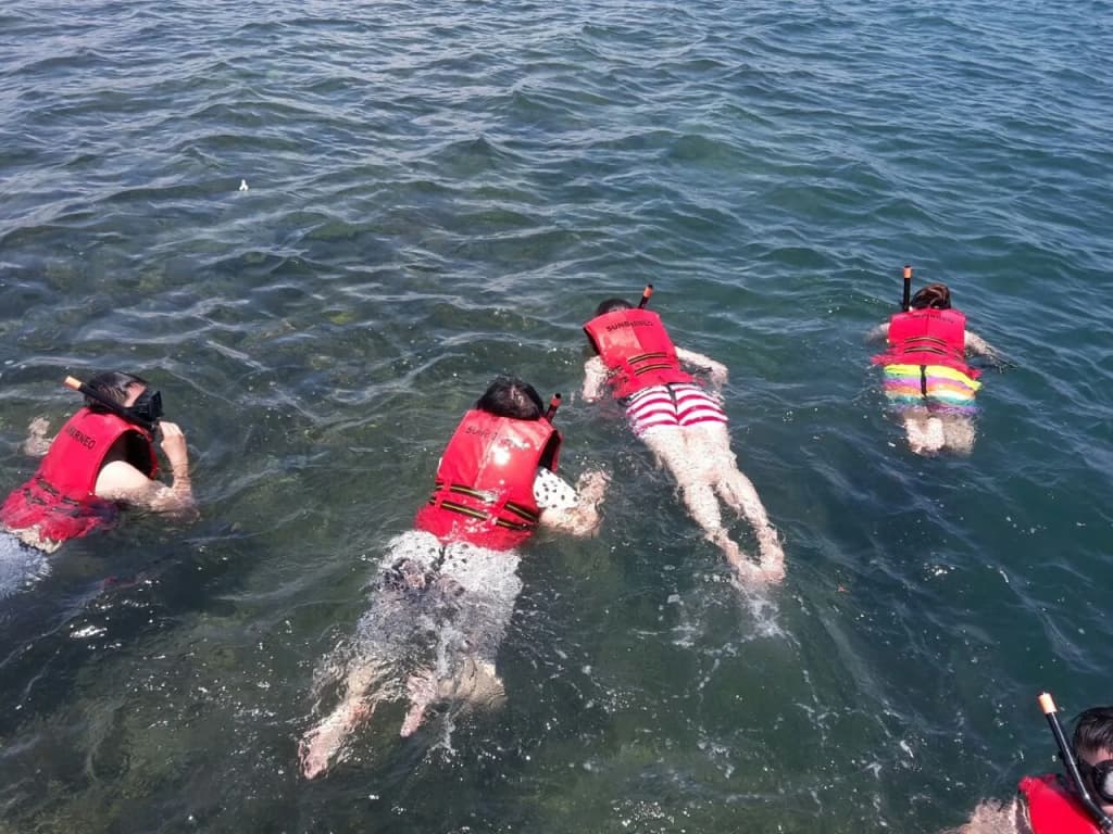 Sunborneo Island Resort - photo 8