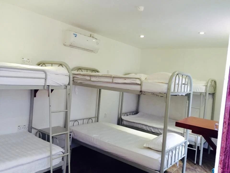 Lixion Homestay - photo 1