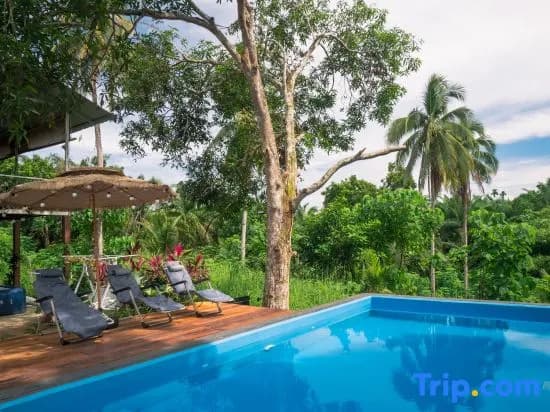 Timba Garden Semporna Free Town / Jetty Transport - photo 4