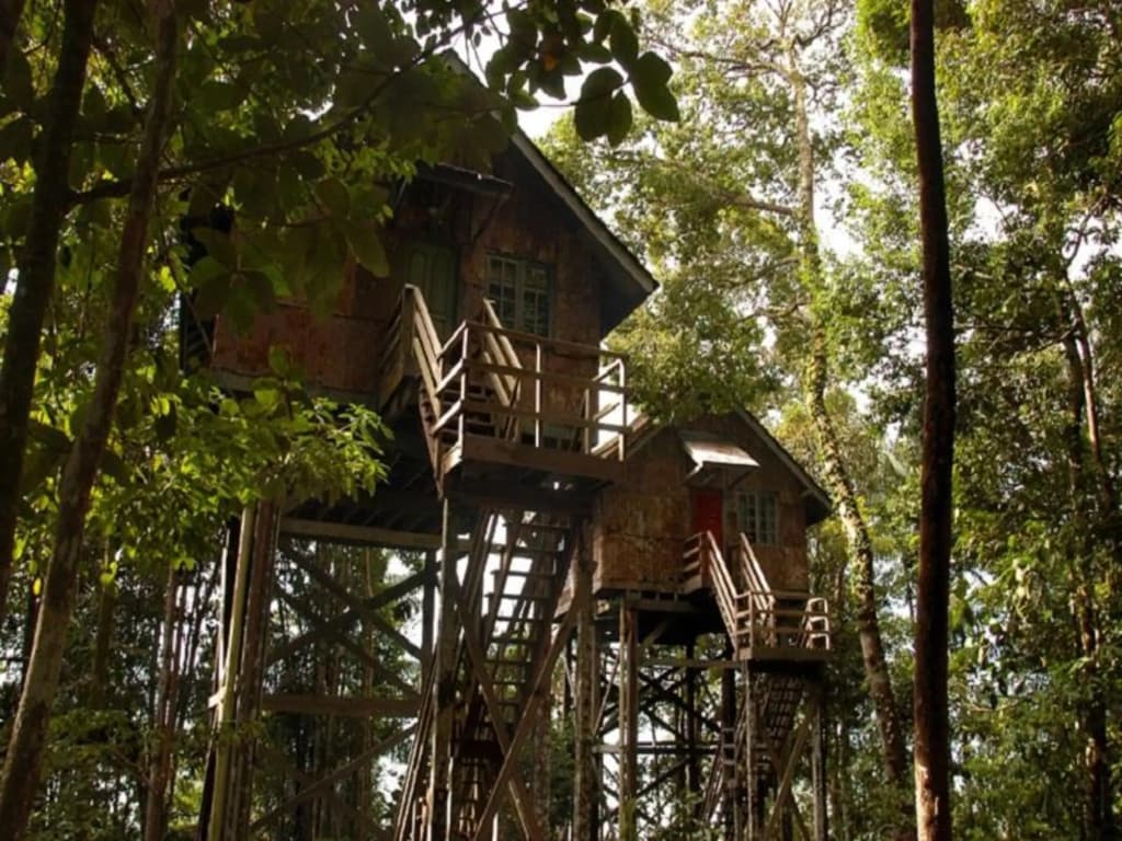 Permai Rainforest Resort - photo 19