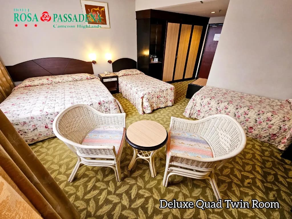 Hotel Rosa Passadena - photo 19