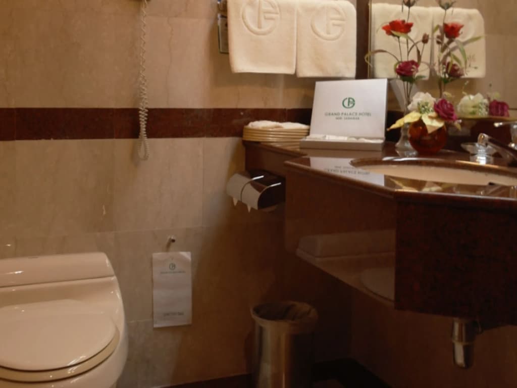 Grand Palace Hotel - photo 8