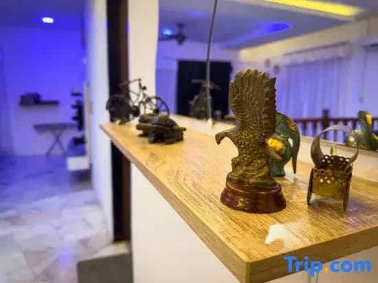 Sm Villa Homestay - photo 1