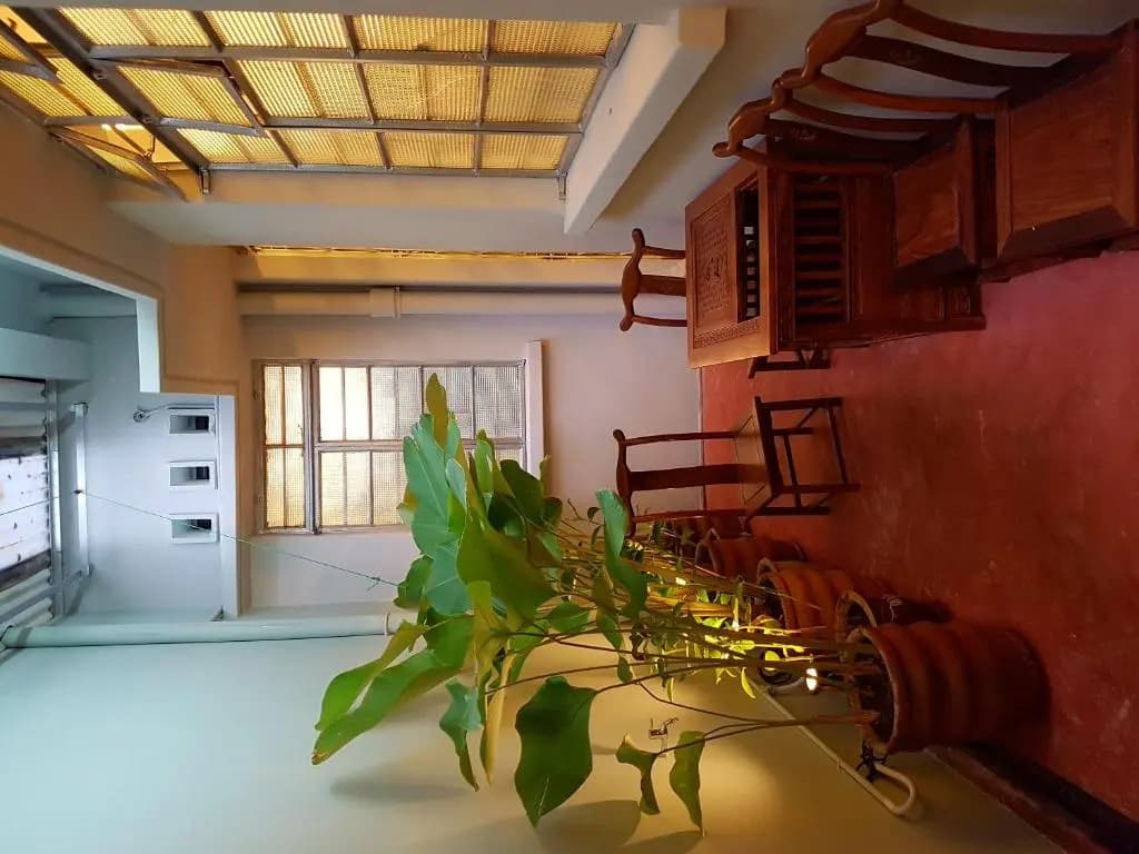 My Chinaman'S Home Ii - photo 7