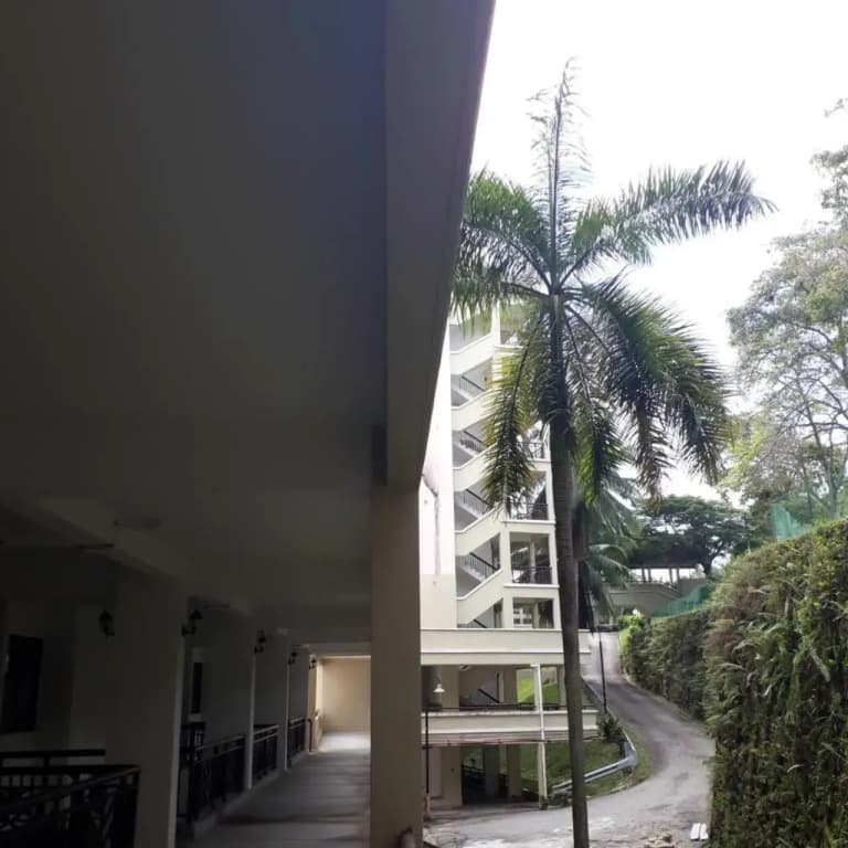 Seaview Homestay PD - photo 37