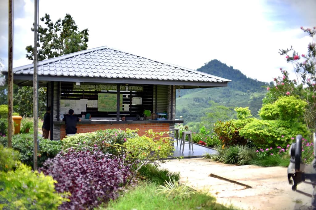 Sabah Tea Resort - photo 17