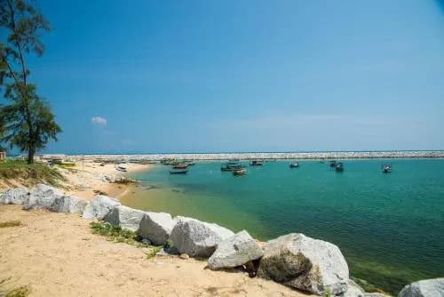 Beachland Guesthouse - photo 5