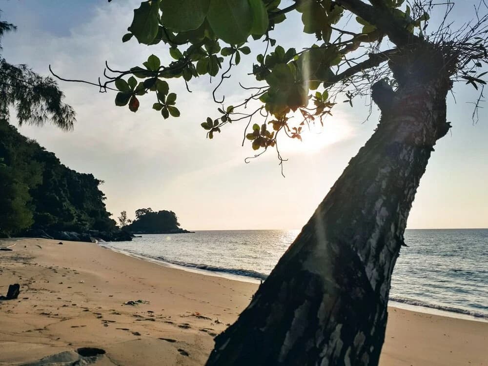 Selesa Tioman c/o Tioman Horizon Condotel - photo 6