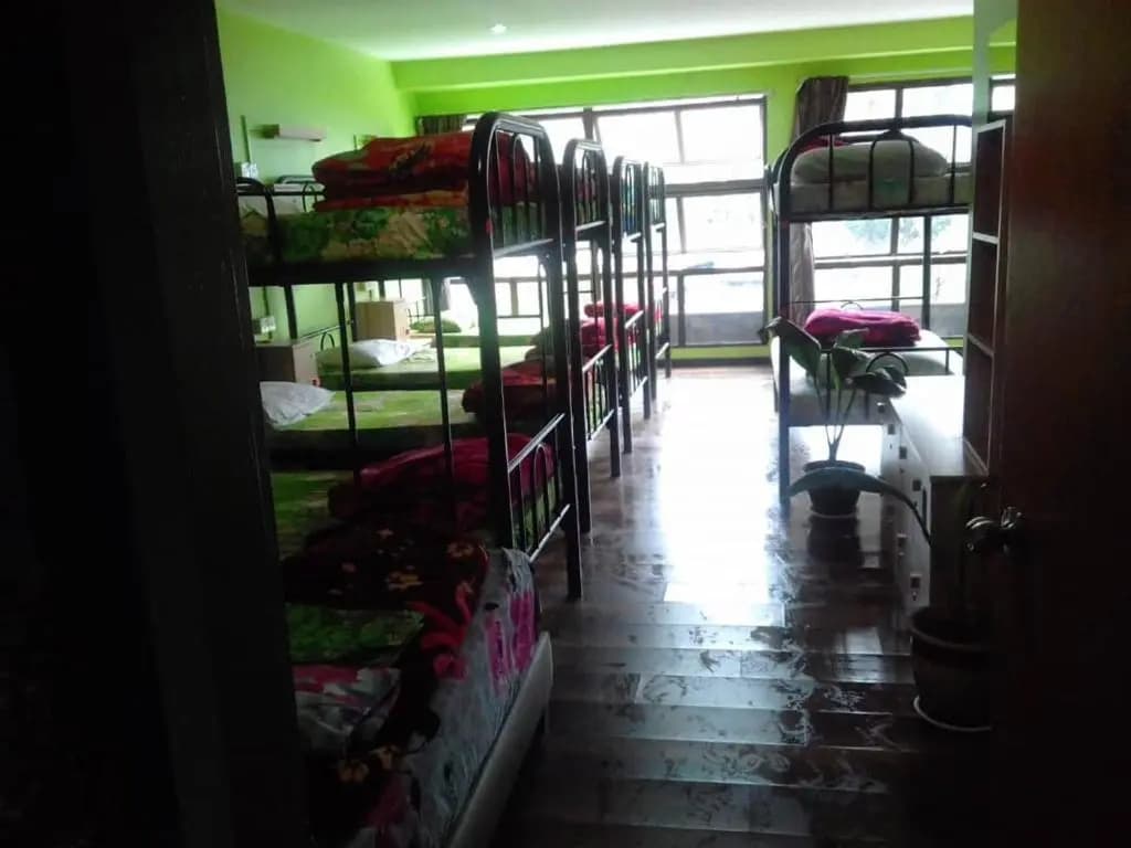 Orchid Haven - photo 6