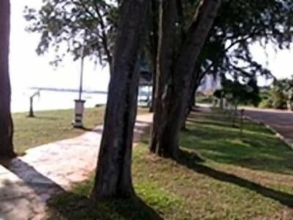 PD Sea Front Hotel - photo 17