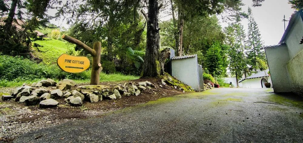 Cameron Highlands Bungalow (Pine Cottage) - photo 13